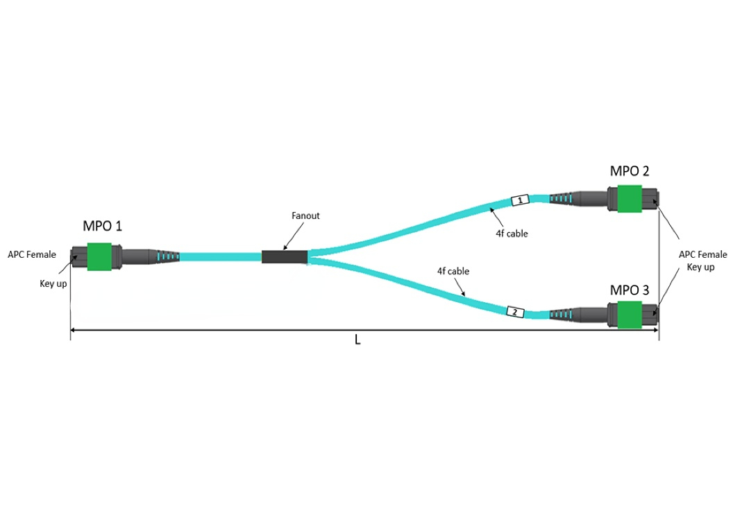 OM4 MPO-12/APC to 2x MPO-12/APC Multimode 1:2 Splitter fiber Cable, for 400G OSFP SR4 and 800G OSFP SR8 transceiver, comparable to Nvidia MFP7E20-Nxxx