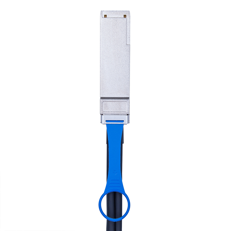 200G QSFP-DD to 8x25G SFP28 Breakout DAC Passive