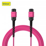 OM4 MPO-8/UPC to MPO-8/UPC, Multimode Straight fiber Cable, Color: Rose red, for QSFP+ SR4 Transceiver