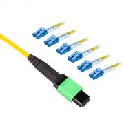 MPO to 12x LC Singlemode 9-125-m Optical Patch Cord