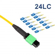 MPO to 24x LC Singlemode 9-125-m Optical Patch Cord
