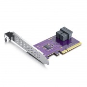 PCIe to 2x U-2-SFF-8639- NVMe SSD Adapter