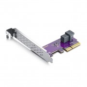 PCIe to Mini-SAS Adapter Card