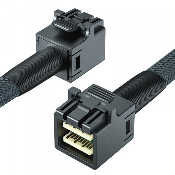 Câble Mini SAS - SHIPENOPHY - SFF-8643 vers SATA - 1 mètre - Compact - Durable Câble Mini SAS - SHIPENOPHY - SFF-8643 vers SATA - 1 mètre - Compact - Durable